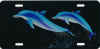 airbrushed dolphins on black car tag