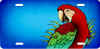 airbrushed green winged macaw licence plate