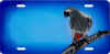 african grey airbrushed licence tag